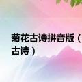 菊花古诗拼音版（菊花古诗）