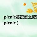 picnic英语怎么读语音（picnic）