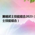 黑暗武士技能组合2023（黑暗武士技能组合）