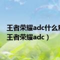 王者荣耀adc什么意思（王者荣耀adc）