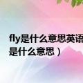 fly是什么意思英语（fly是什么意思）