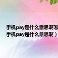 手机pay是什么意思啊怎么用（手机pay是什么意思啊）