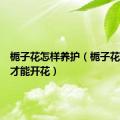 栀子花怎样养护（栀子花怎么养才能开花）