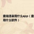 查询违章用什么app（查询违章用什么软件）