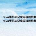 vivo手机忘记密码强制恢复方法（vivo手机忘记密码强制恢复）