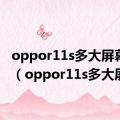 oppor11s多大屏幕尺寸（oppor11s多大屏）