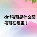 dnf鸟背是什么图（dnf鸟背在哪里）