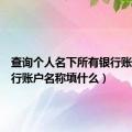 查询个人名下所有银行账户（银行账户名称填什么）