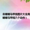 袁姗姗马甲线图片大全高清（袁姗姗马甲线八个动作）