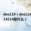 dns119（dns114114114114是什么）