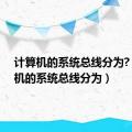 计算机的系统总线分为?（计算机的系统总线分为）