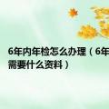 6年内年检怎么办理（6年内年检需要什么资料）