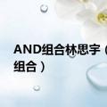 AND组合林思宇（and组合）