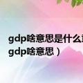 gdp啥意思是什么意思（gdp啥意思）