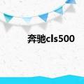 奔驰cls500