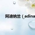 阿迪纳兰（adina）