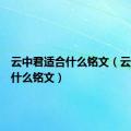 云中君适合什么铭文（云中君带什么铭文）