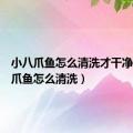 小八爪鱼怎么清洗才干净（小八爪鱼怎么清洗）