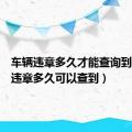 车辆违章多久才能查询到（车辆违章多久可以查到）