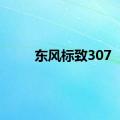 东风标致307