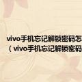 vivo手机忘记解锁密码怎样开锁（vivo手机忘记解锁密码）