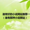 谁有好的小说网站推荐一下谢谢（谁有那种小说网站）