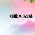 标致308改装