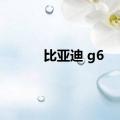 比亚迪 g6