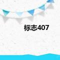 标志407