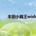 丰田小霸王wish