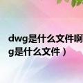 dwg是什么文件啊（dwg是什么文件）