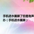 手机进水黑屏了但是有声音怎么办（手机进水黑屏）