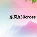 东风h30cross