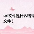 url文件是什么格式（url文件）