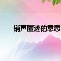 销声匿迹的意思