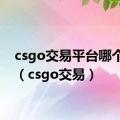 csgo交易平台哪个最好（csgo交易）