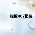 标致407报价