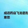 成语药店飞龙是形容的意思