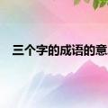 三个字的成语的意思