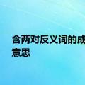 含两对反义词的成语的意思