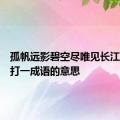 孤帆远影碧空尽唯见长江天际流打一成语的意思