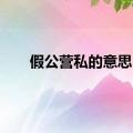 假公营私的意思