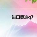 进口奥迪q7