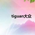 tiguan大众