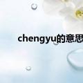 chengyu的意思