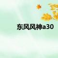 东风风神a30