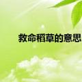 救命稻草的意思