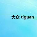 大众 tiguan