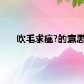 吹毛求疵?的意思