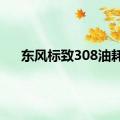 东风标致308油耗